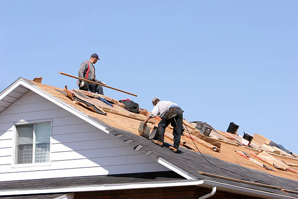 Best Gutter Installation and Repair  in Peoria, AZ